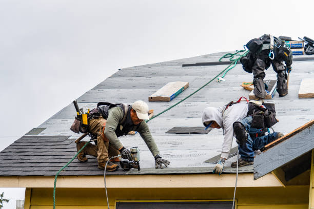 Professional Roof Replacement technician working in Frankfort, MI